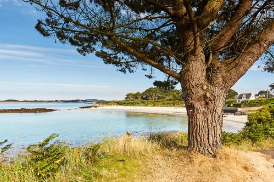 Maison Renovee Spacieuse A 10 Min Des Plages